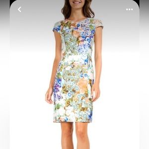 Etro Floral Cap Sleeve Sheath Dress